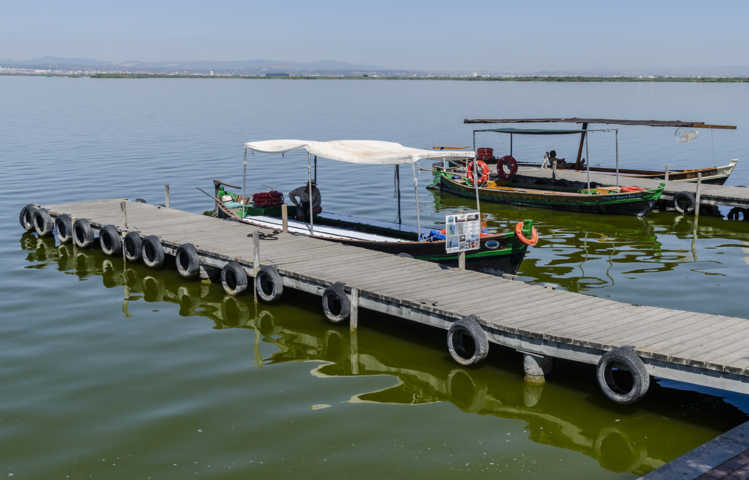 19 - Valencia - La Albufera